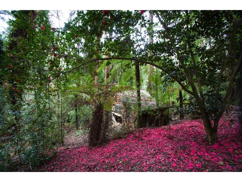 270 Old-Emerald Road, Monbulk VIC 3793