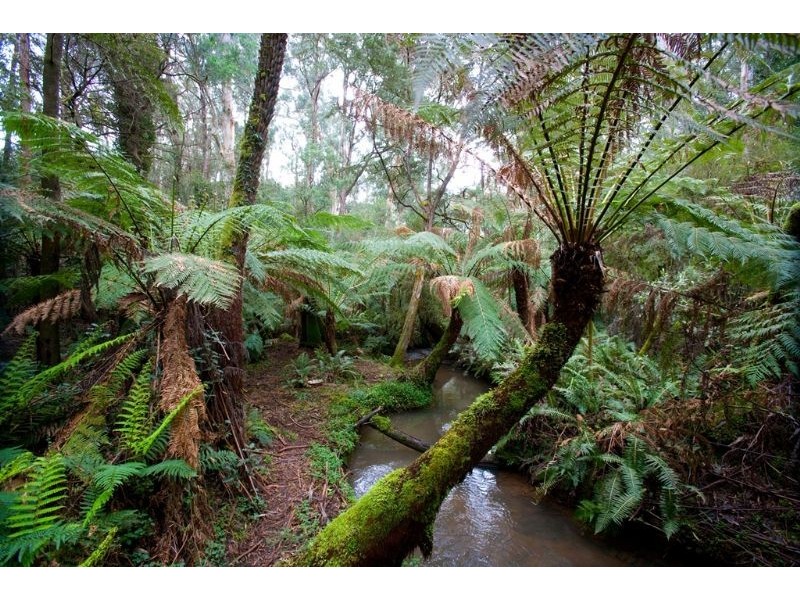 270 Old-Emerald Road, Monbulk VIC 3793