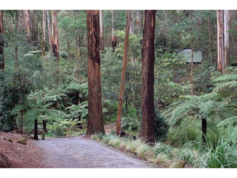 Mount Dandenong VIC 3767