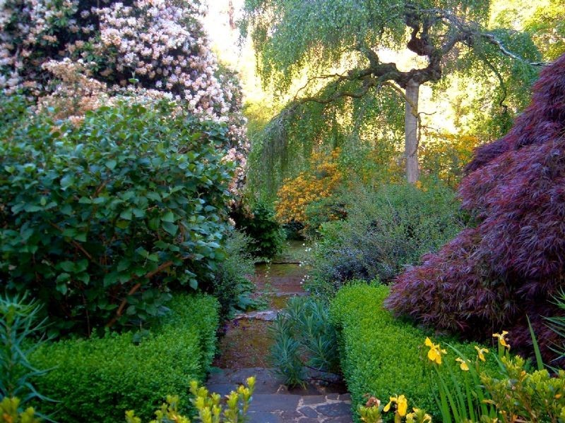 111 Olinda-Monbulk Road, Olinda VIC 3788