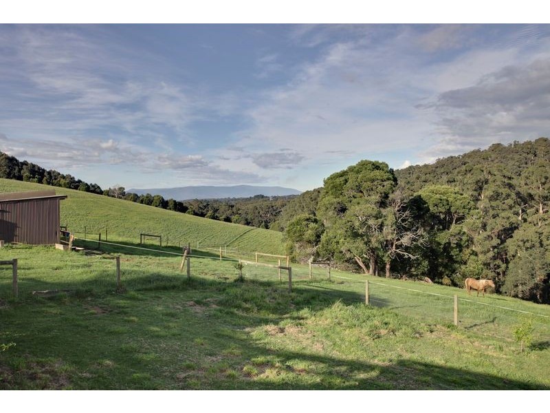 485 Kallista-Emerald Road, Kallista VIC 3791