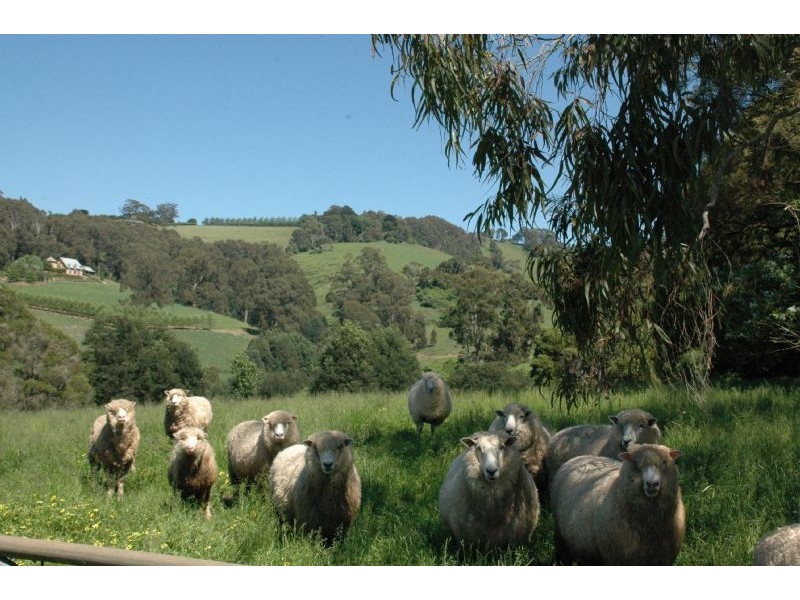 485 Kallista-Emerald Road, Kallista VIC 3791