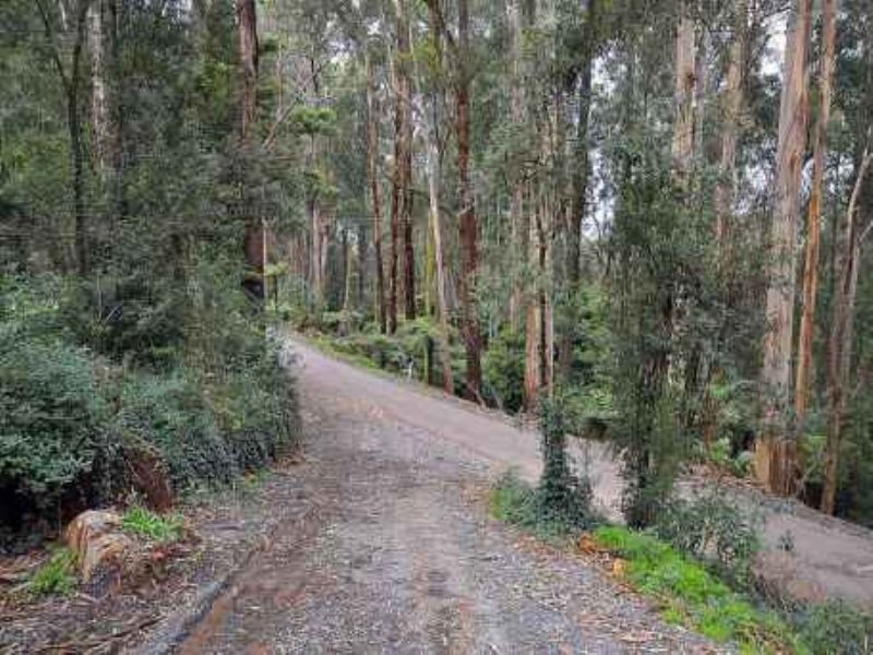 60 Olinda Creek Road, Kalorama VIC 3766