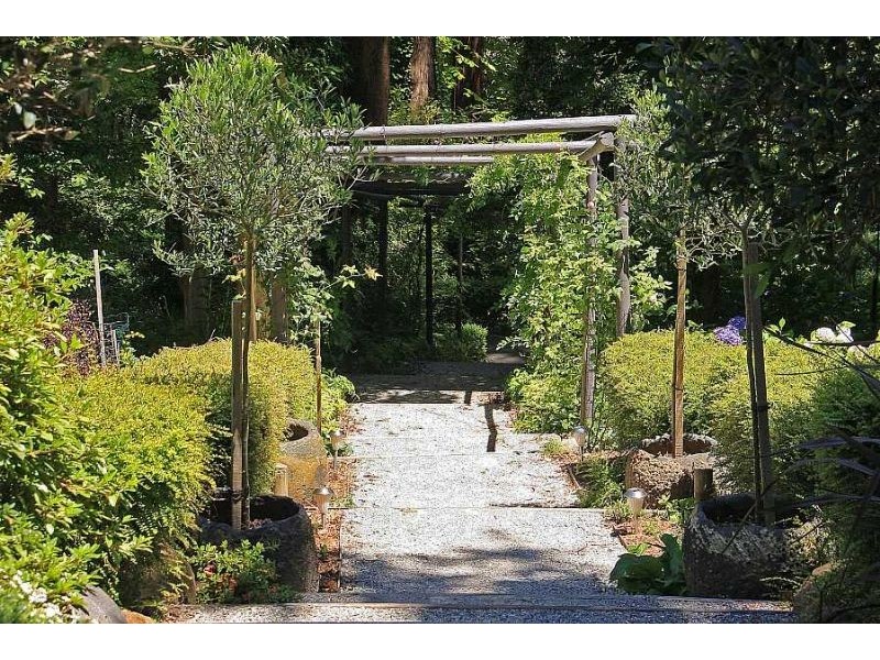 433 Mount Dandenong Tourist Road, Sassafras VIC 3787