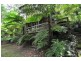 424 Mount Dandenong Tourist Road, Sassafras VIC 3787
