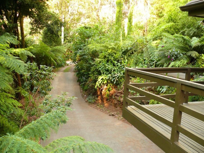 49 Spencer Road, Olinda VIC 3788