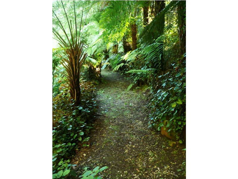 49 Spencer Road, Olinda VIC 3788