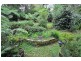 56 Olinda Creek Road, Kalorama VIC 3766
