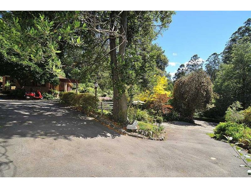 1 Florence Avenue, Sassafras VIC 3787