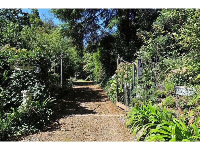 1 Florence Avenue, Sassafras VIC 3787