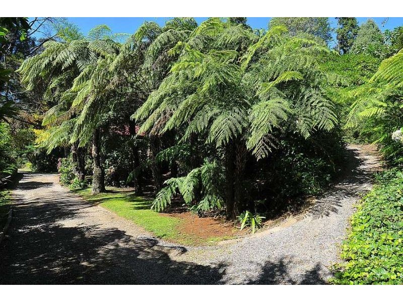 1 Florence Avenue, Sassafras VIC 3787