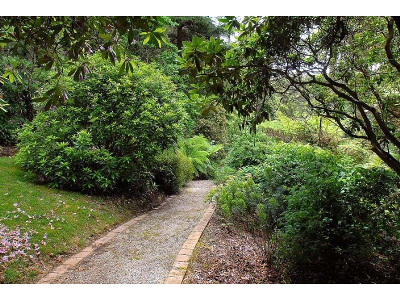 1 Florence Avenue, Sassafras VIC 3787