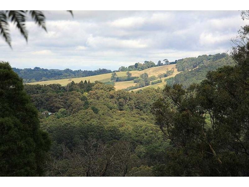 196 Olinda-Monbulk Road, Olinda VIC 3788