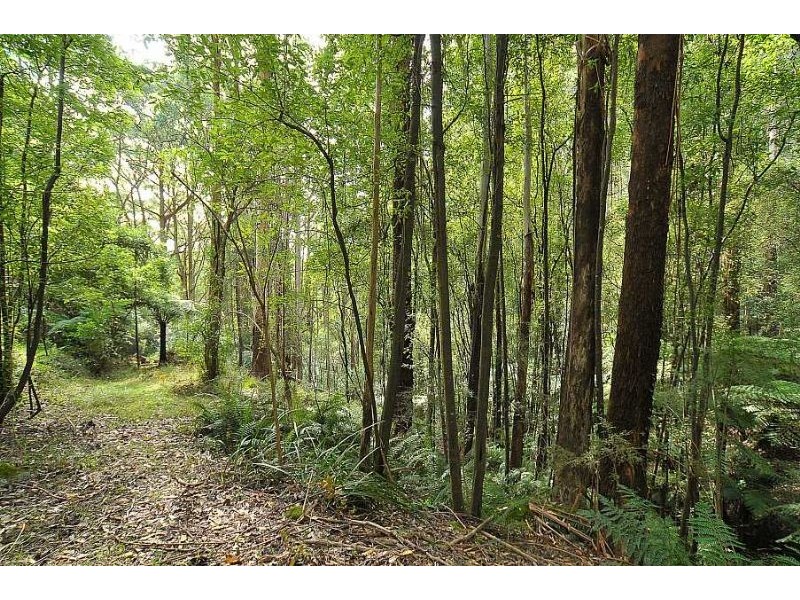 621 Basin-Olinda Road, Olinda VIC 3788