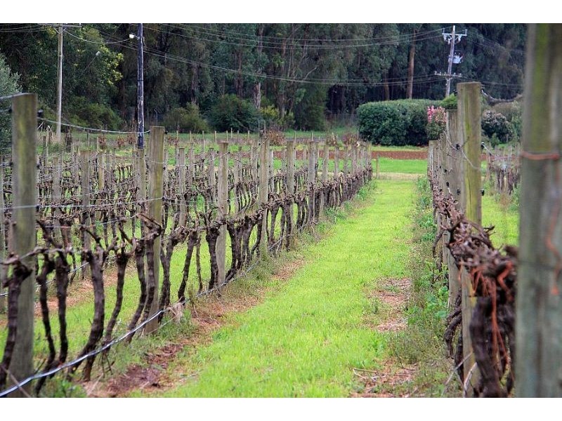 349-351 Monbulk Road, Silvan VIC 3795