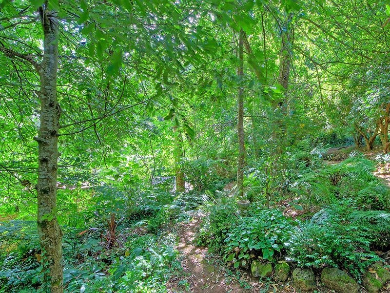 8 Greenthorpe Road, Olinda VIC 3788