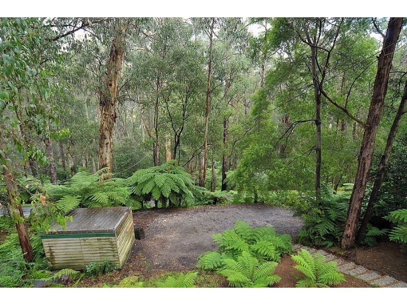 218 Emerald-Monbulk Road, Monbulk VIC 3793