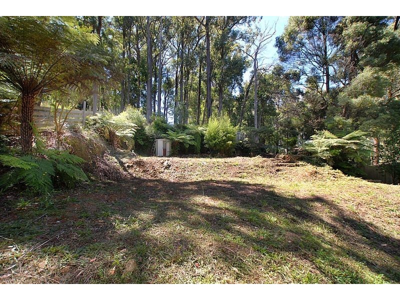 220 Emerald-Monbulk Road, Monbulk VIC 3793