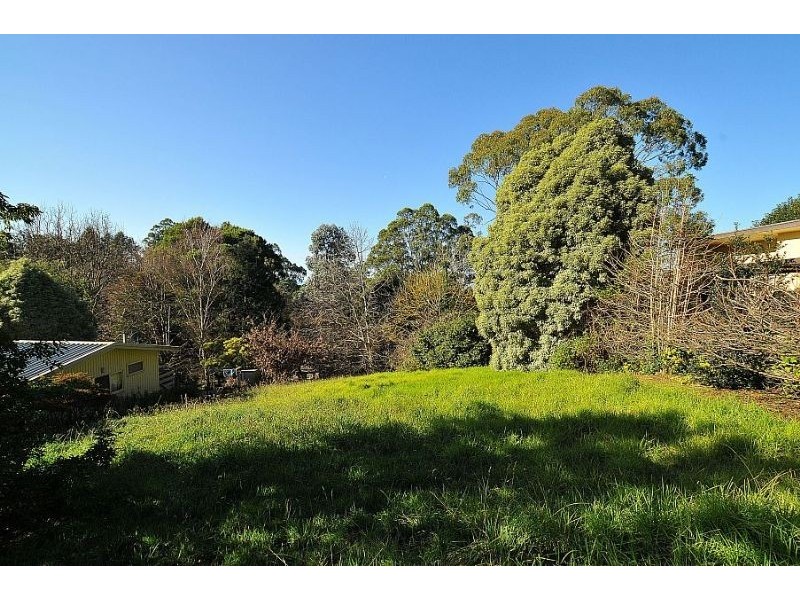 3 Halcyon Avenue, The Patch VIC 3792