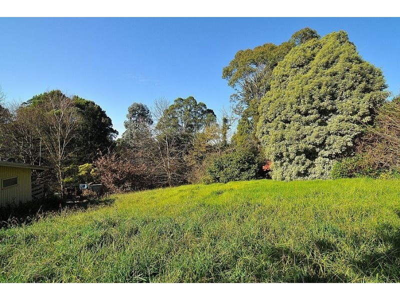 3 Halcyon Avenue, The Patch VIC 3792