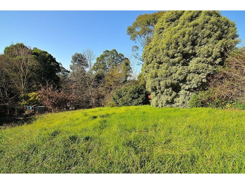 3 Halcyon Avenue, The Patch VIC 3792