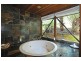10 Old Coach Road, Sassafras VIC 3787
