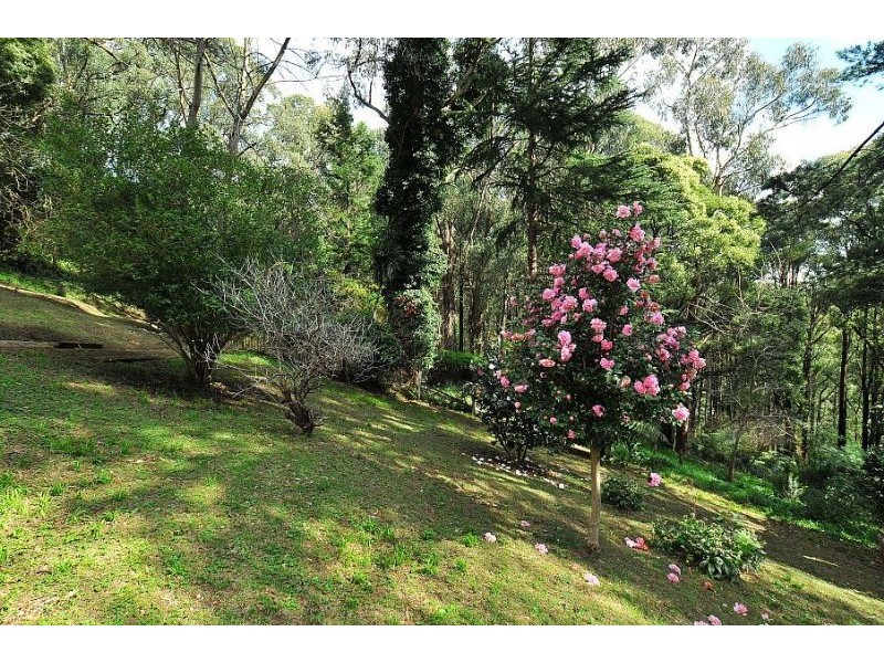 10 Old Coach Road, Sassafras VIC 3787