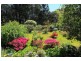 163 Moxhams Road, Monbulk VIC 3793
