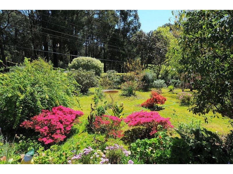 163 Moxhams Road, Monbulk VIC 3793