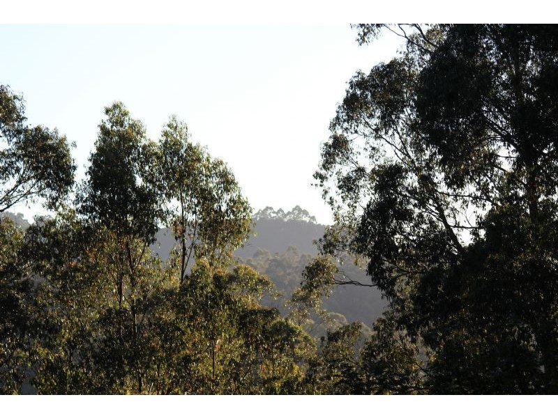 340 Mt Dandenong Tourist Road, Sassafras VIC 3787