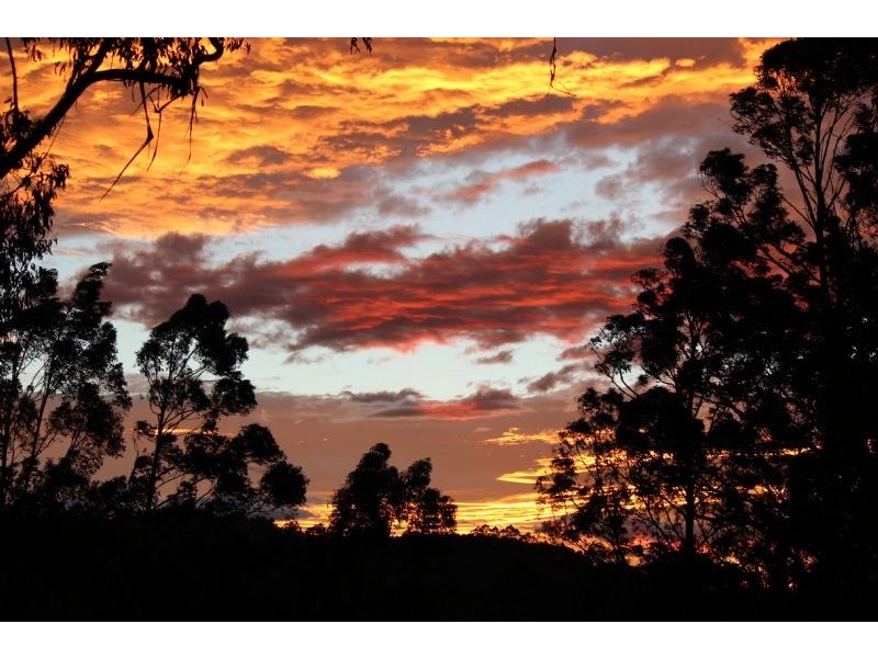 340 Mt Dandenong Tourist Road, Sassafras VIC 3787