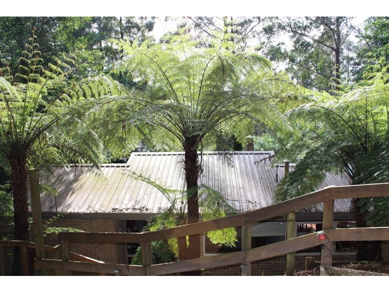 340 Mt Dandenong Tourist Road, Sassafras VIC 3787