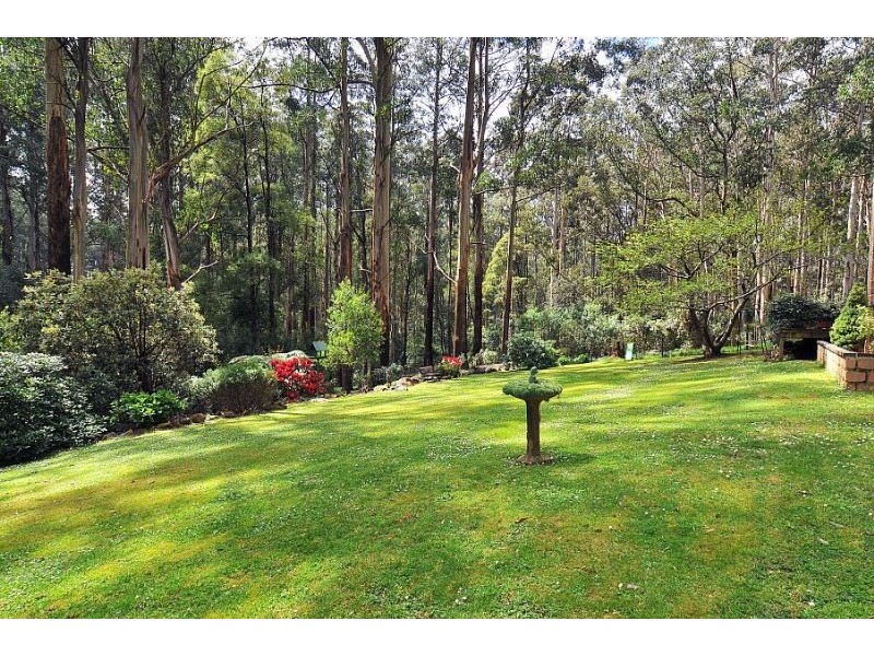 Ferny Creek VIC 3786