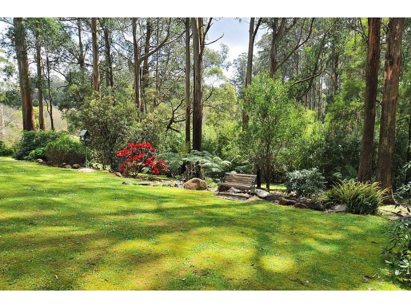 Ferny Creek VIC 3786