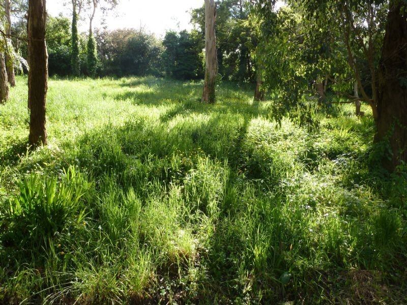 1419 Burwood Highway, Upwey VIC 3158