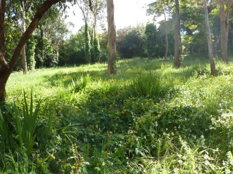 1419 Burwood Highway, Upwey VIC 3158