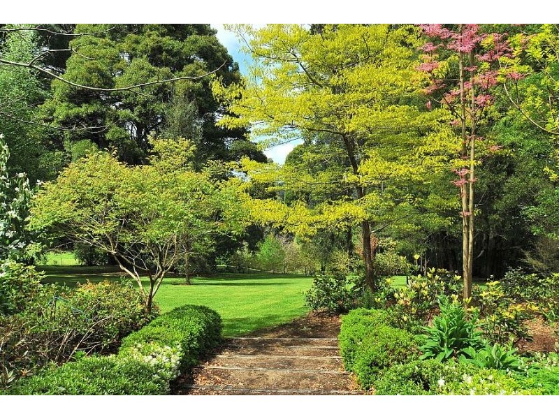 12 Mernda Road, Olinda VIC 3788