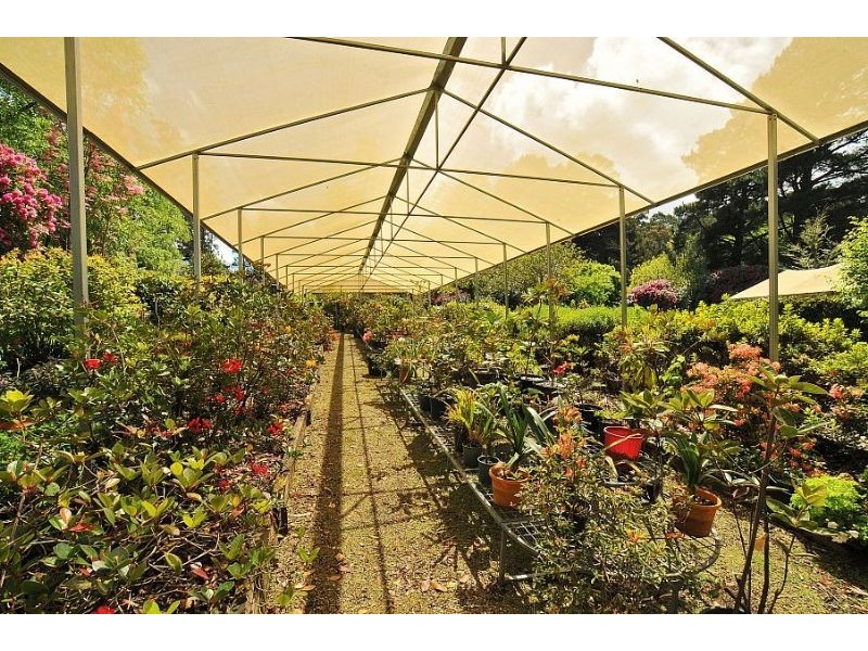 12 Mernda Road, Olinda VIC 3788