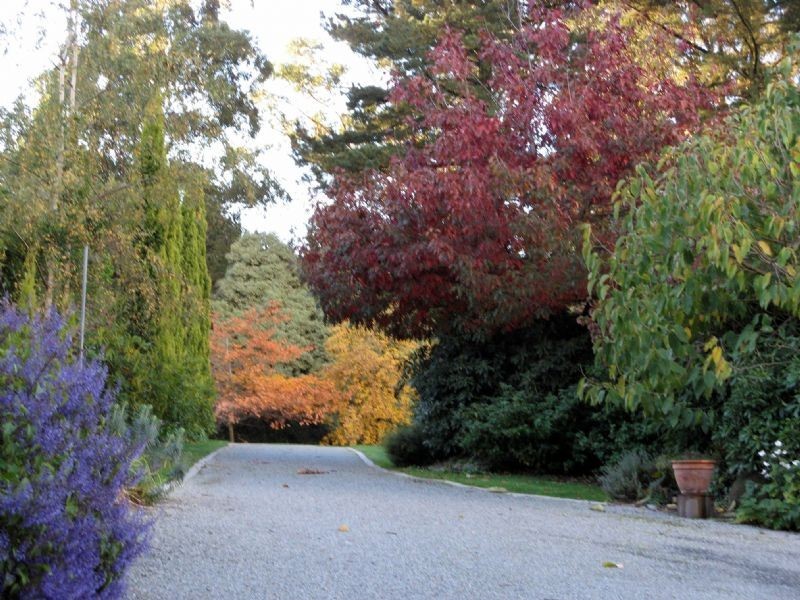 12 Mernda Road, Olinda VIC 3788