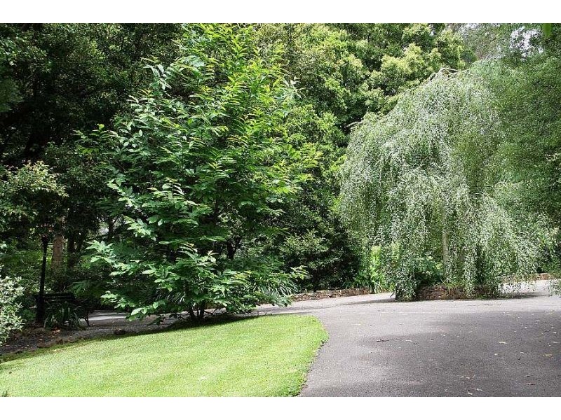 Ferny Creek VIC 3786