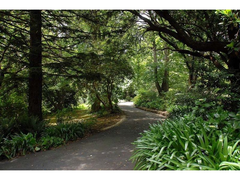 Ferny Creek VIC 3786