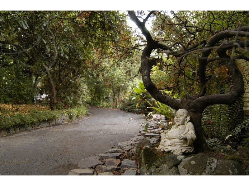 Ferny Creek VIC 3786