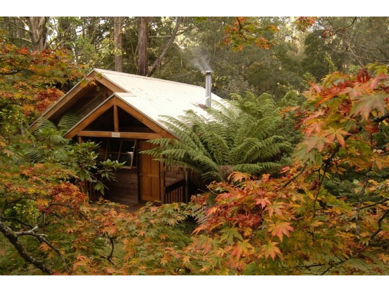 Ferny Creek VIC 3786