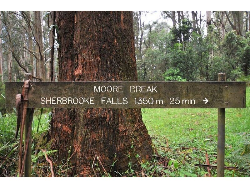 4 Greville Road, Ferny Creek VIC 3786