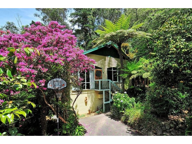 81 Belgrave-Gembrook Road, Belgrave VIC 3160