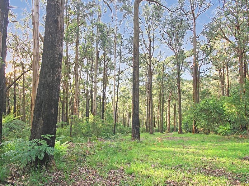 621 Basin-Olinda Road, Olinda VIC 3788