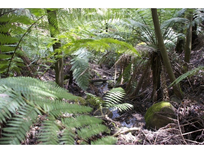 621 Basin-Olinda Road, Olinda VIC 3788