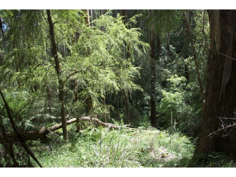 621 Basin-Olinda Road, Olinda VIC 3788