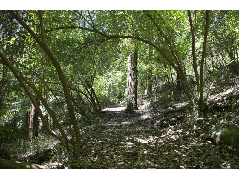 621 Basin-Olinda Road, Olinda VIC 3788