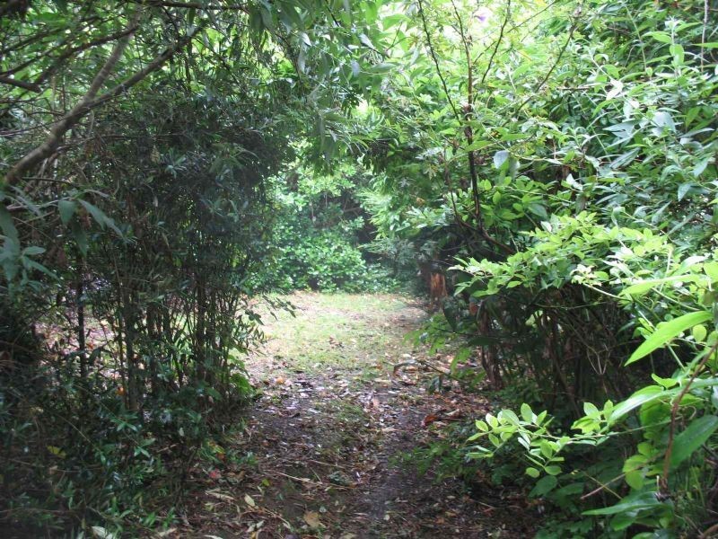 40 McAllister Road, Monbulk VIC 3793